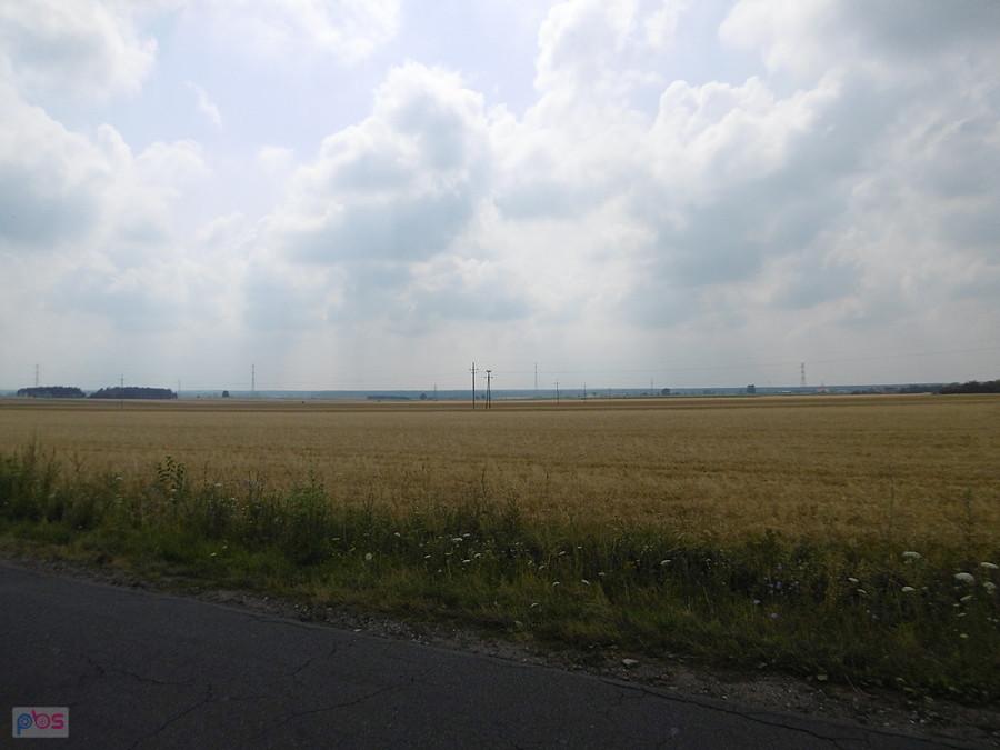 Droga na Raszków