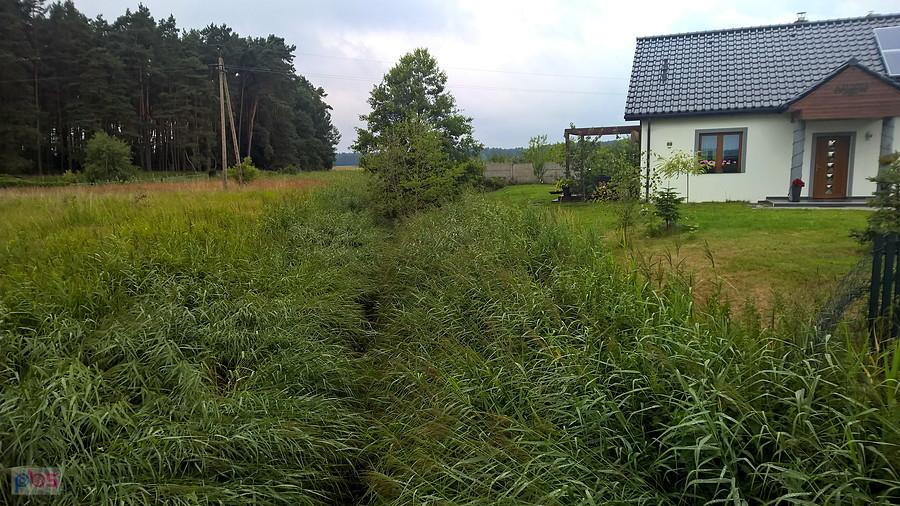 Zarastający potok na skraju Sławoszewa.