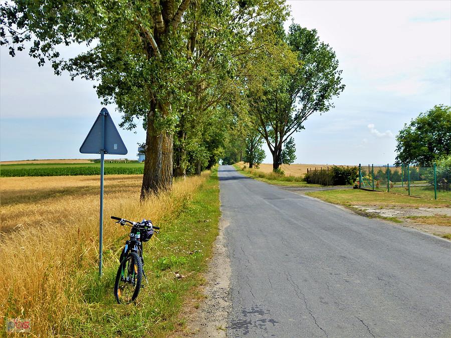Poranek na rowerze - okolice Tczewa.