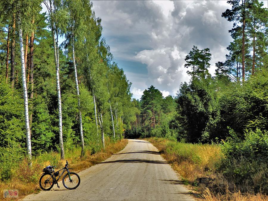 Poranek na rowerze - okolice Tczewa.
