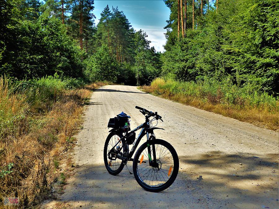 Poranek na rowerze - okolice Tczewa.