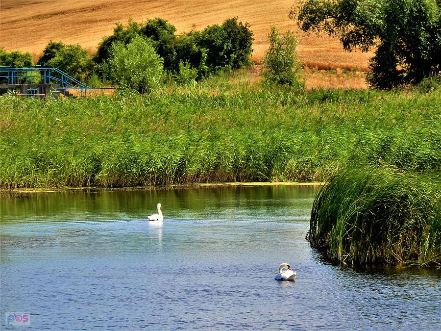 Poranek na rowerze - okolice Tczewa.