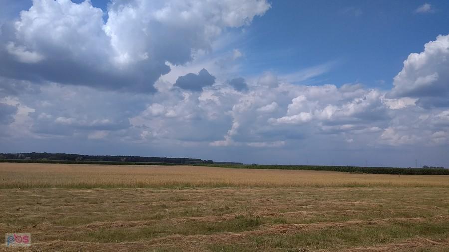 pola wzdłuż Odry