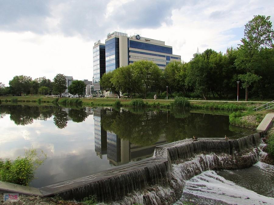 Staw Służewiecki