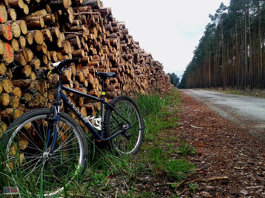 Droga pożarowa, leśnictwo Ewinów