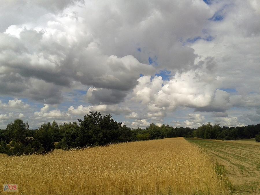 Chmurki w drodze do Koła