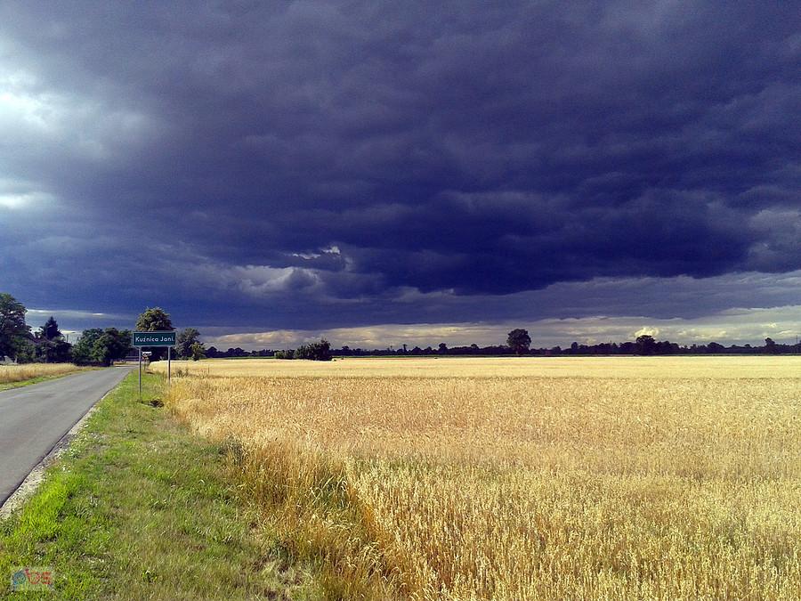 Na najwyższych obrotach