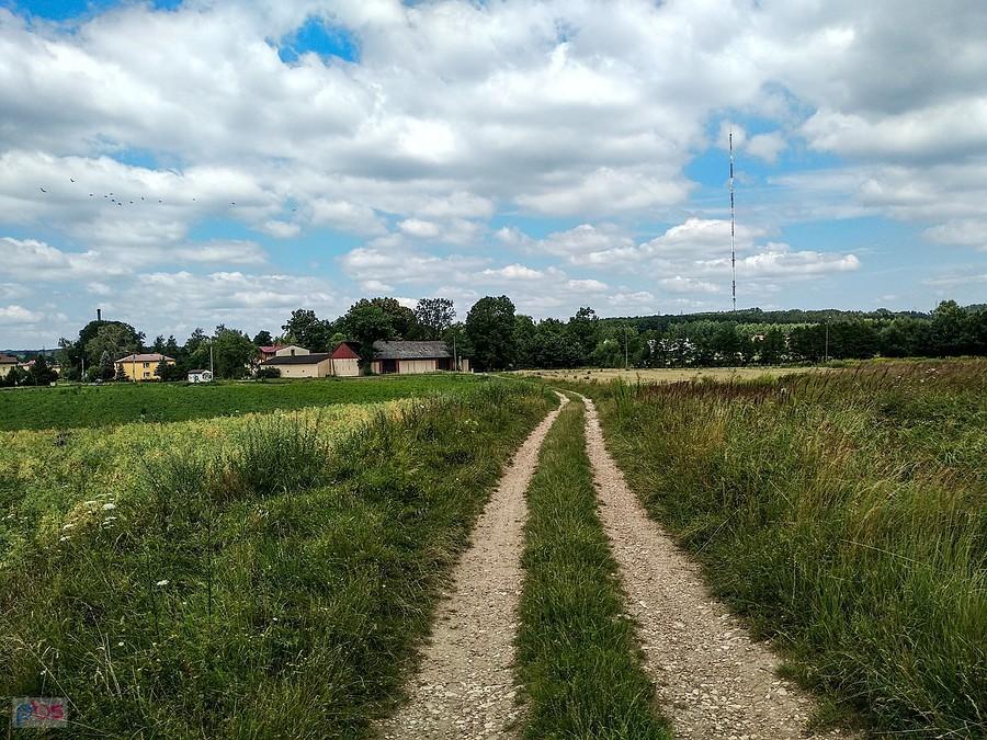 Widać maszt centrum nadawczego w Kosztowach