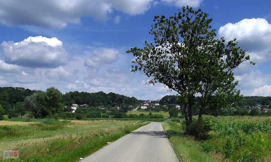 Jeszcze jeden podjazd, kierunek Rogów