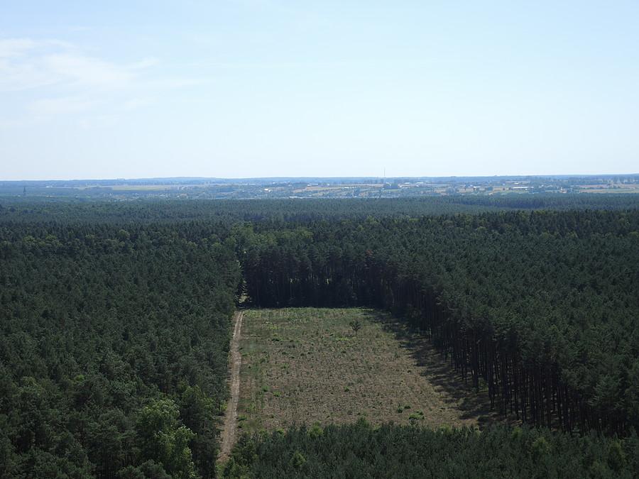 Widok w kierunku Obornik