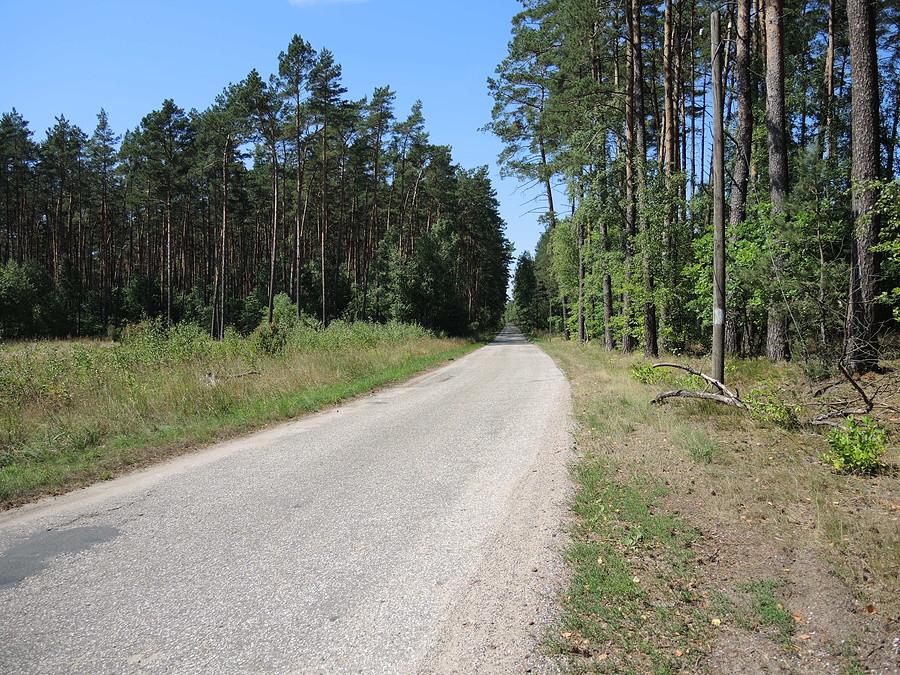Kierunek Podlesie