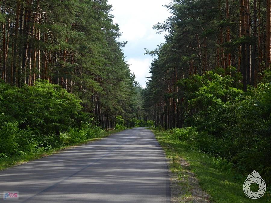 prosta do Szydłowca