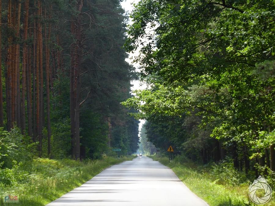 prooooosta w stronę Wilczej Woli