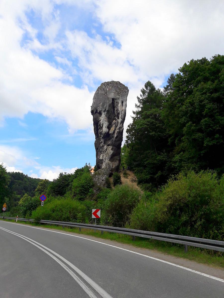 Maczuga Herkulesa.