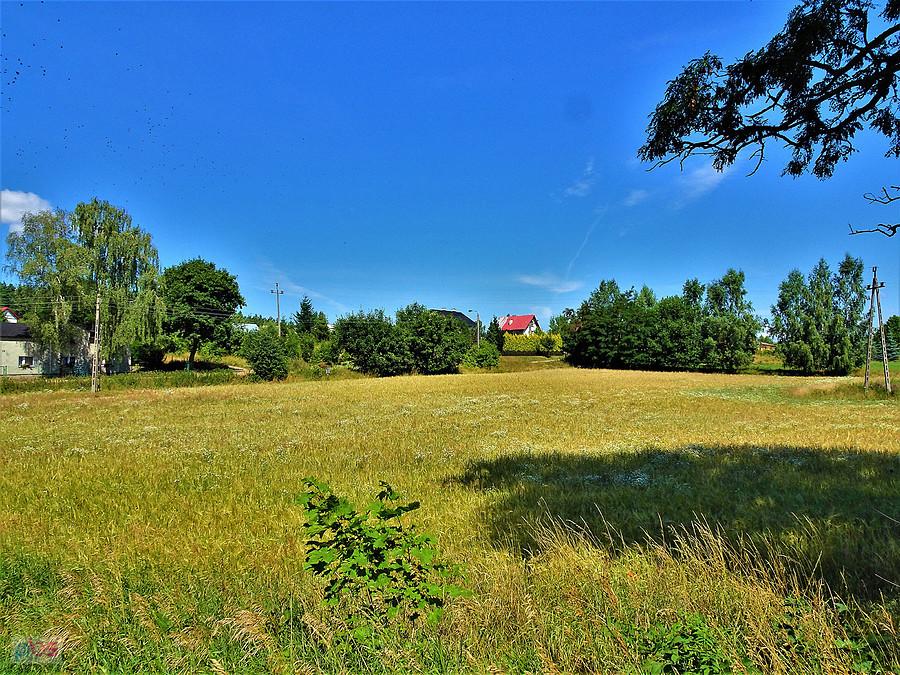Wycieczka rowerowa nad Jezioro Borówno Wielkie. Na trasie.