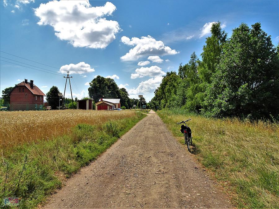 Wycieczka rowerowa nad Jezioro Borówno Wielkie. Na trasie.