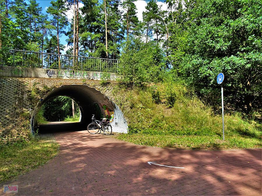 Wycieczka rowerowa nad Jezioro Borówno Wielkie. Na trasie.