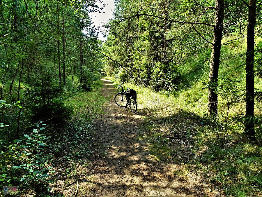 Wycieczka rowerowa nad Jezioro Borówno Wielkie. Na trasie.
