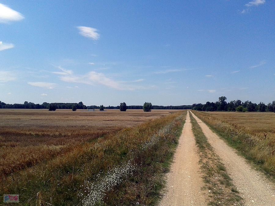 Wzdłuż Warty , Uniejów - Kozubów