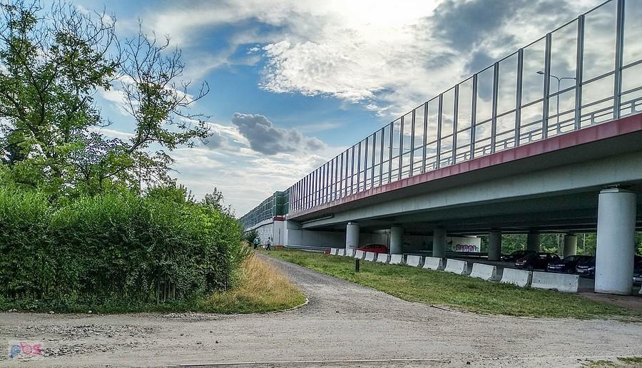 DTŚka w lasku Makoszowskim