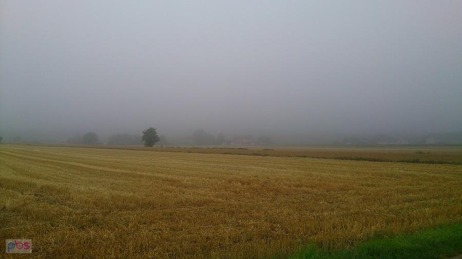 Mgliście było nad polami