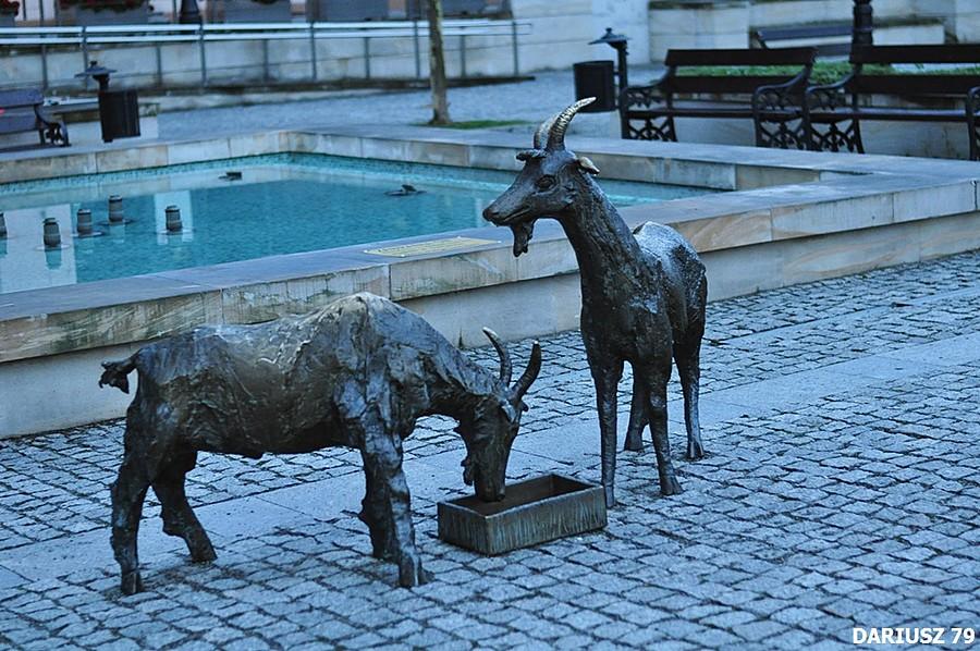 Brzesko - Rynek