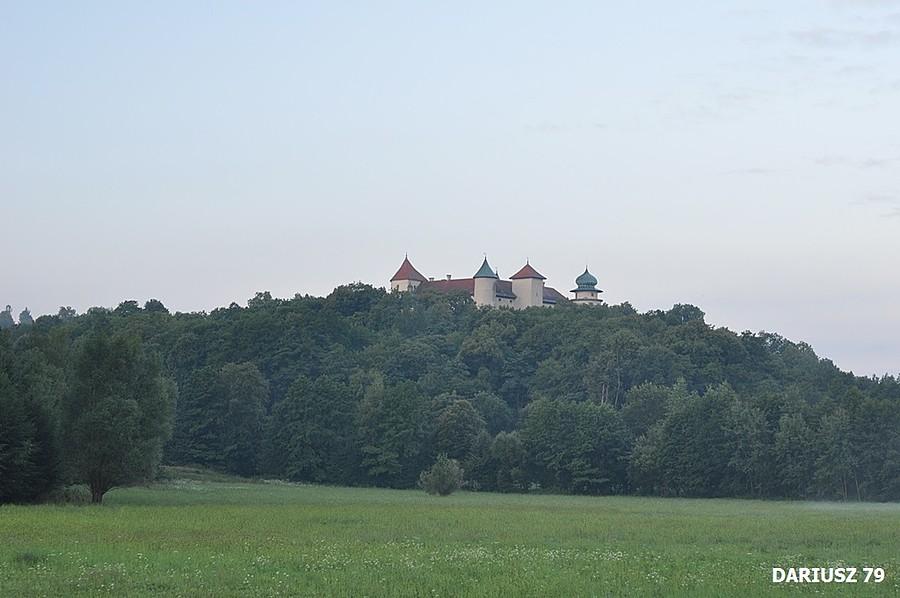 Zamek w Nowy Wiśniczu