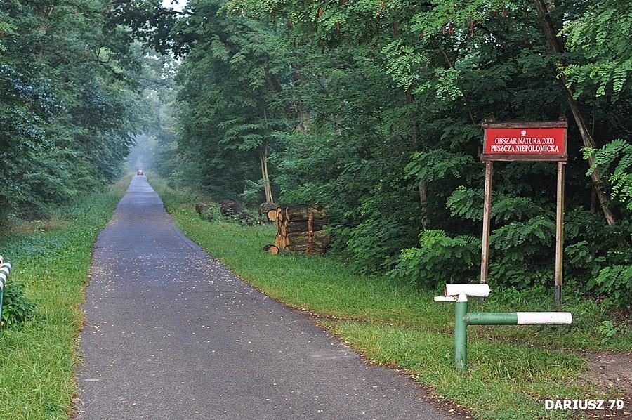 Mikluszowice - Puszcza Niepołomicka Droga Królewska
