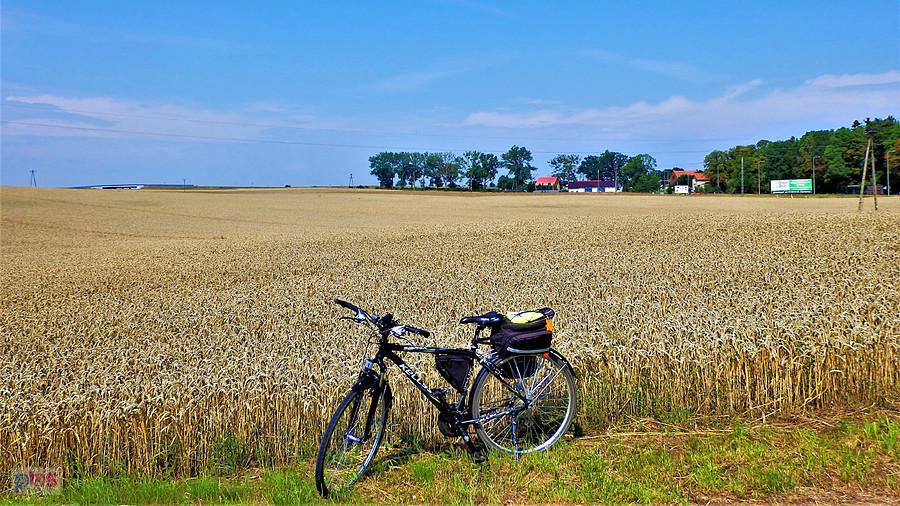 Wycieczka rowerowa po Kociewiu.