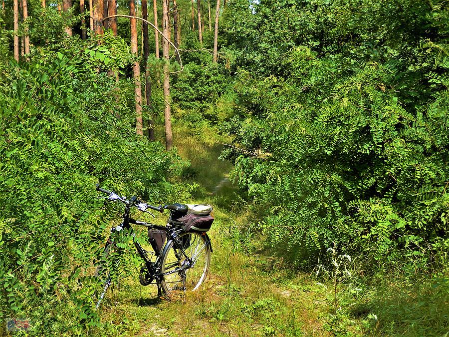 Wycieczka rowerowa po Kociewiu.