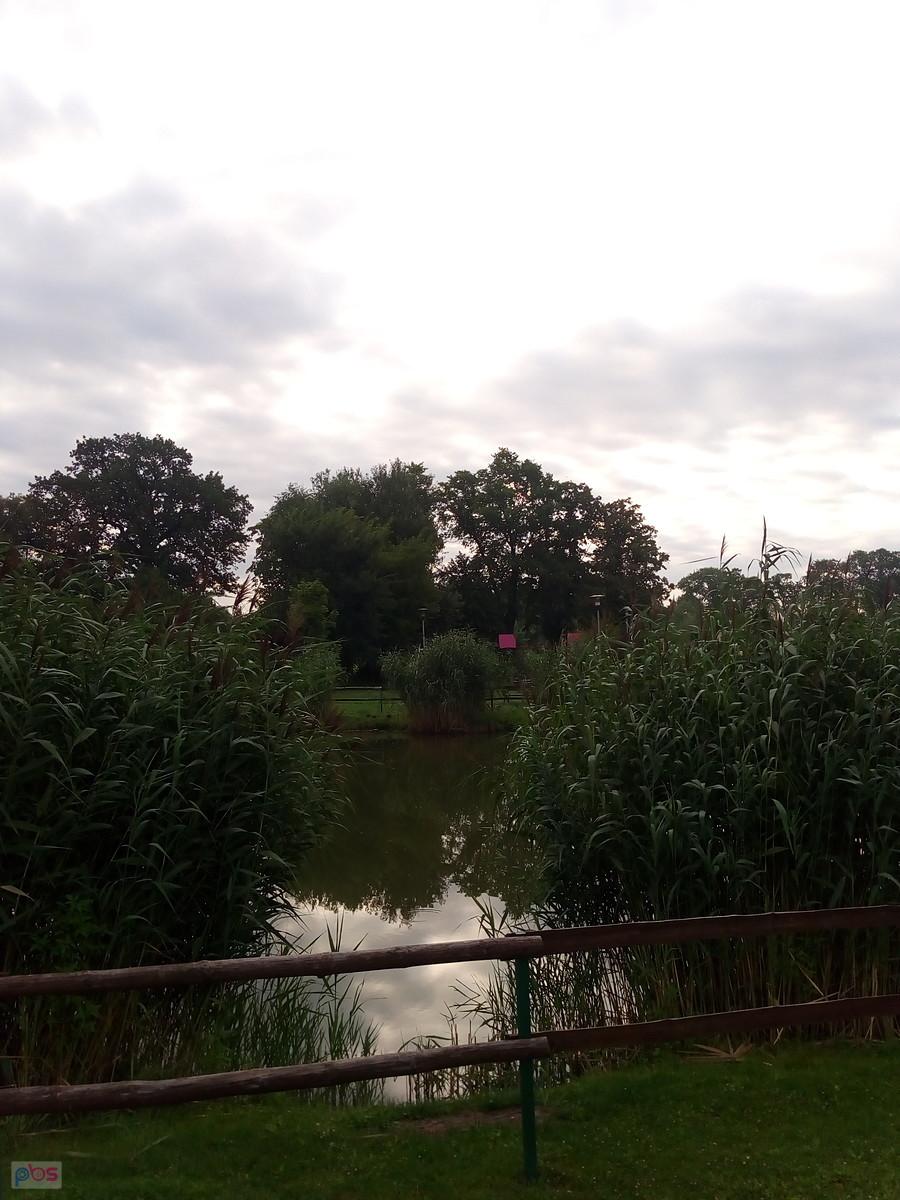 Kolejny staw
