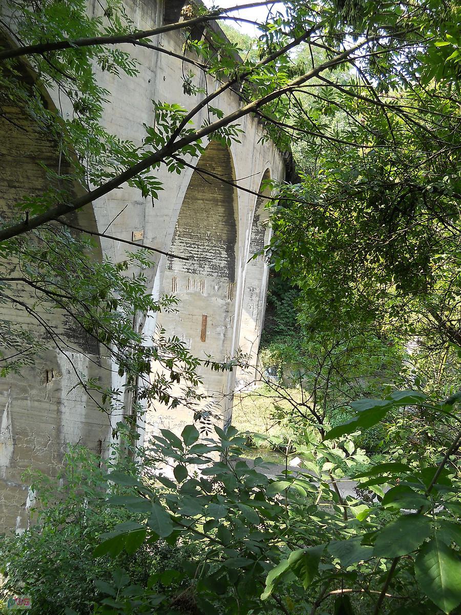w krzakach