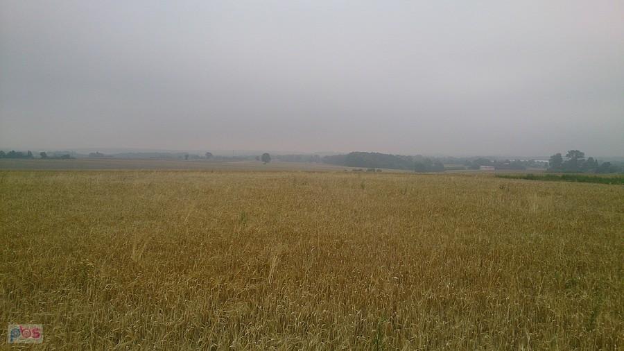 Mgliście nad polami