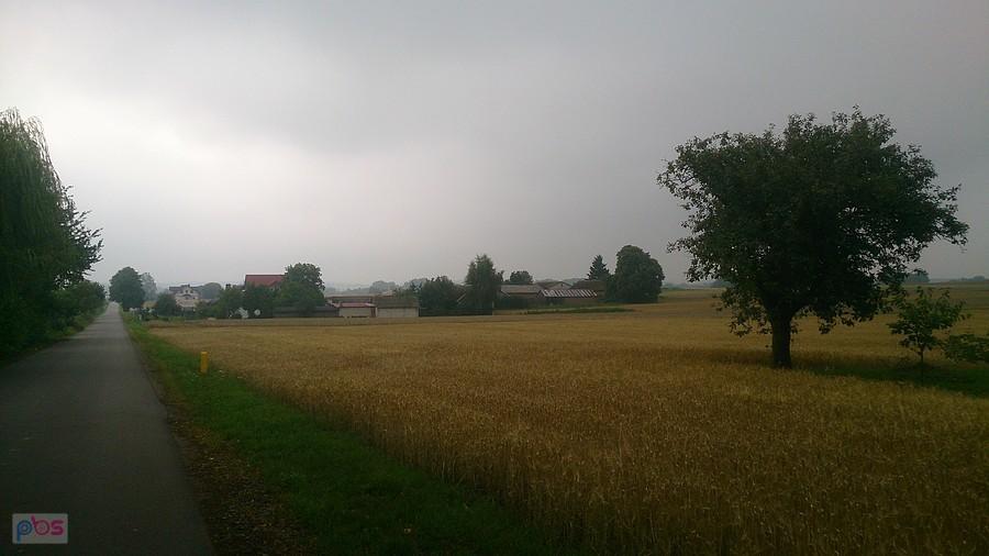 Poranek był pochmurny