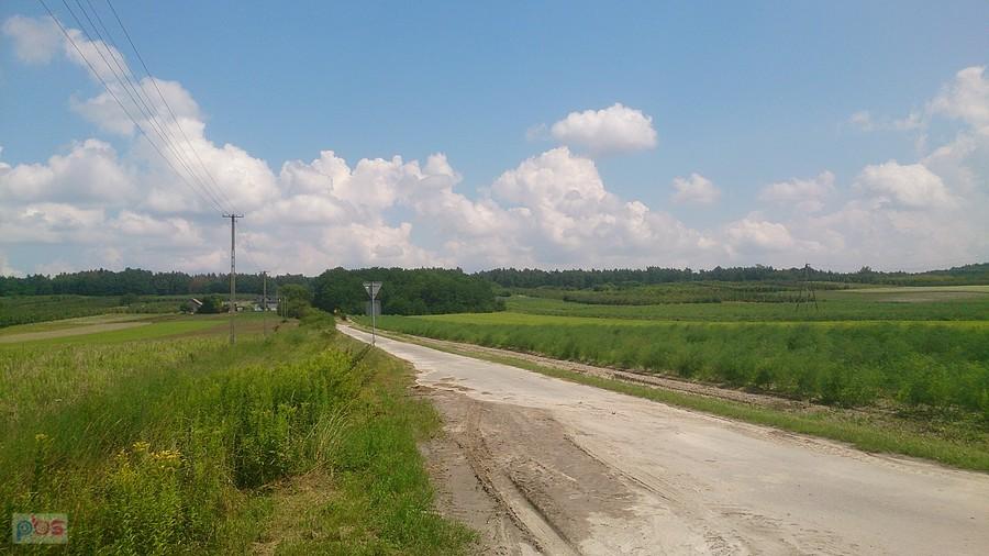 Pola w okolicach Polanówki