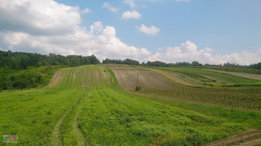 Pofałdowane pola