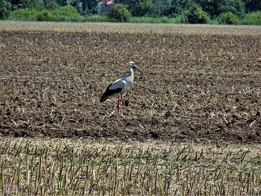 Wycieczka rowerowa do Białej Góry. Wracamy do domu.