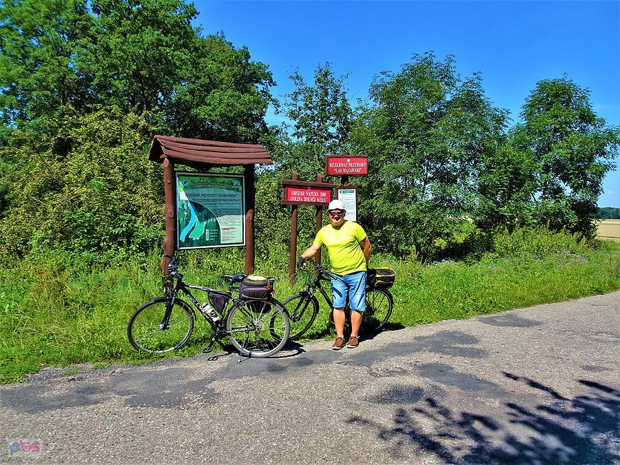 Wycieczka rowerowa do Białej Góry - na trasie.