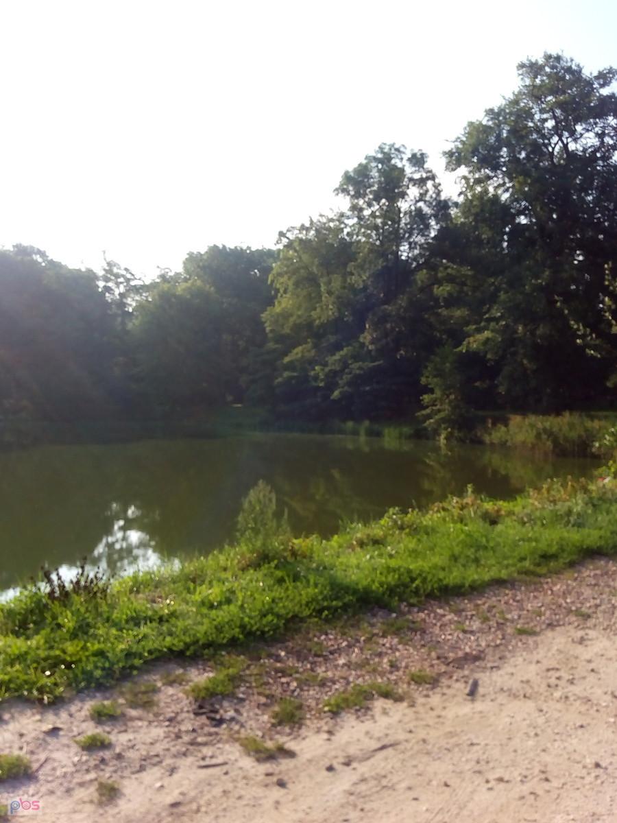 Pierwszy staw