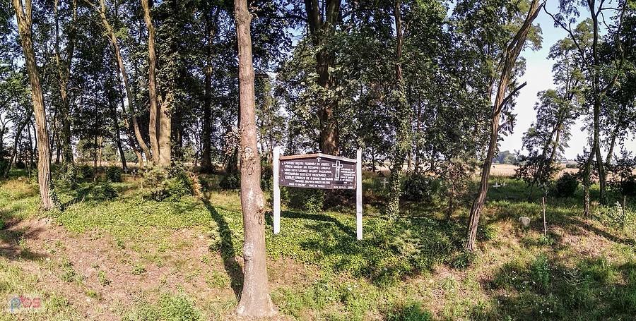 Cmentarz choleryczny w Krzyworzeczce