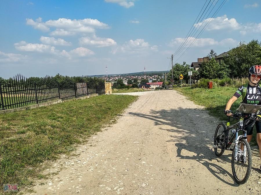 Panorama Działoszyna