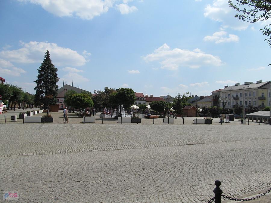 Na obiadowych łowach w Kutnie