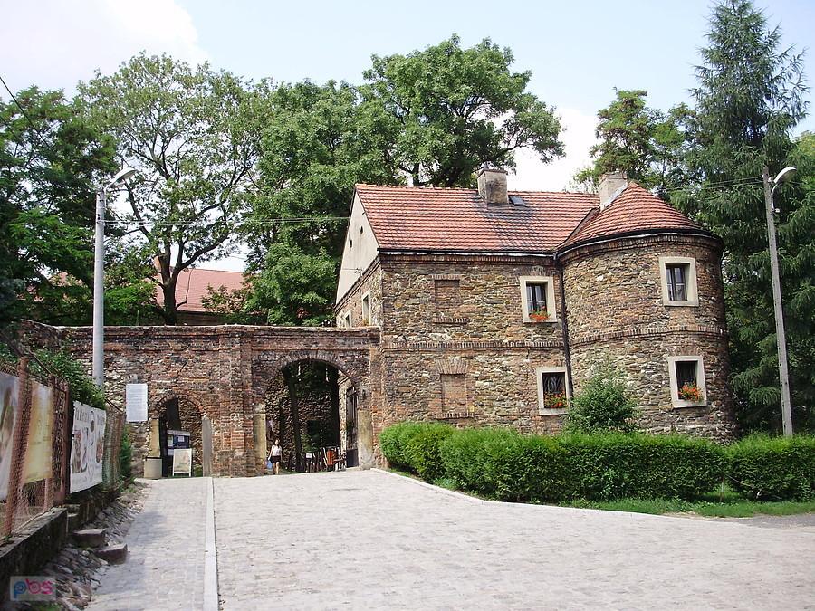 Zamek w Toszku