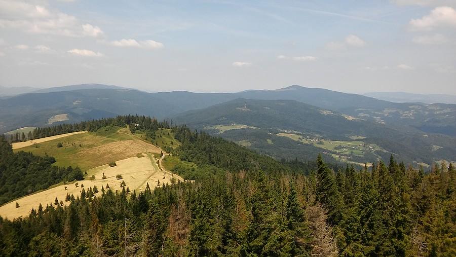 Widoczki z wieży kapitalne