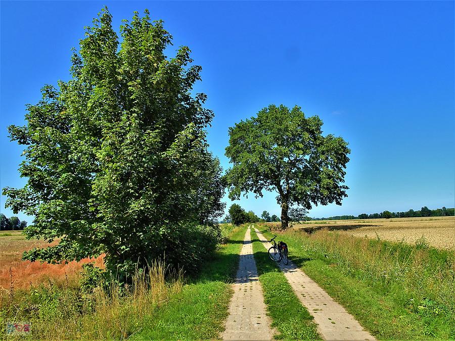 Wycieczka na d morze - Jantar.Wracam do domu.