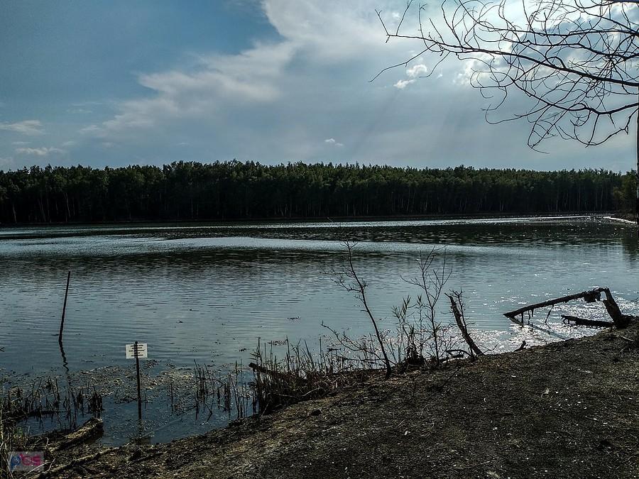 Staw przy hałdzie na Sośnicy