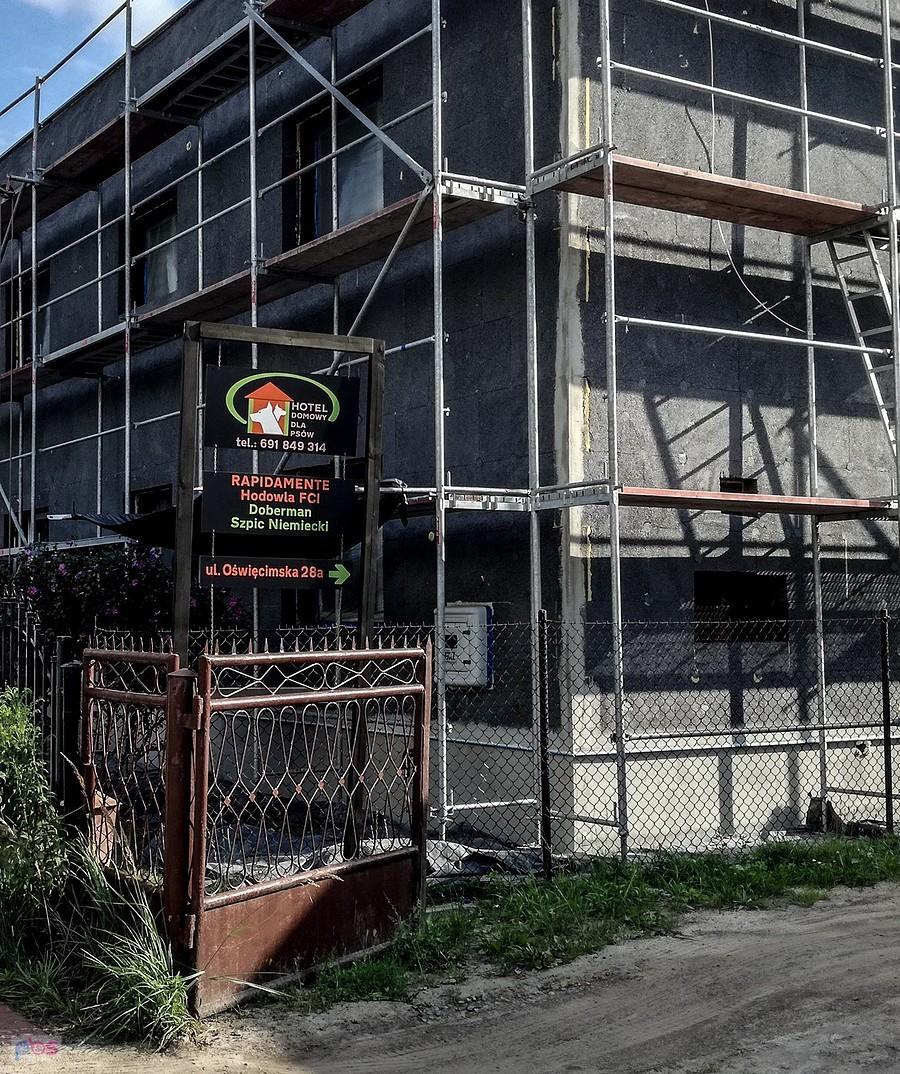 Buduje się hotel dla piesków