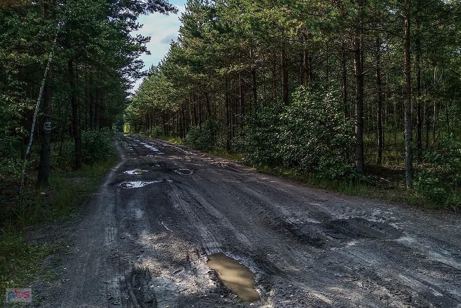 Stara hałda w Makoszowach