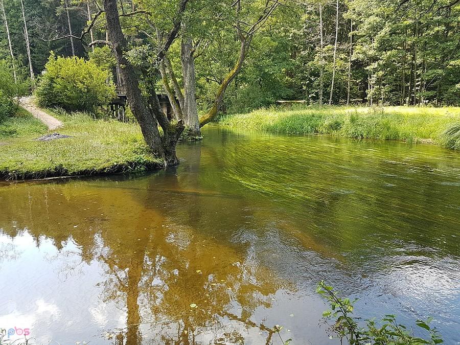 Święte Miejsce Rospuda