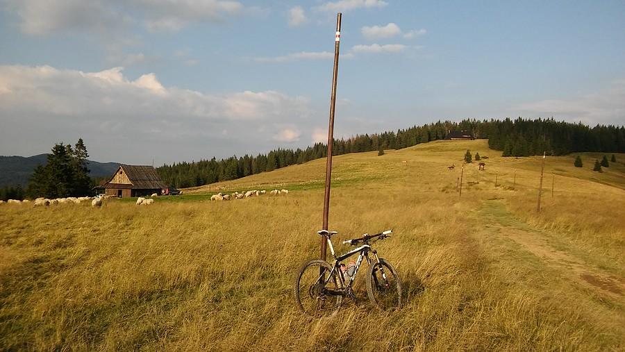Na rozległej Hali Długiej